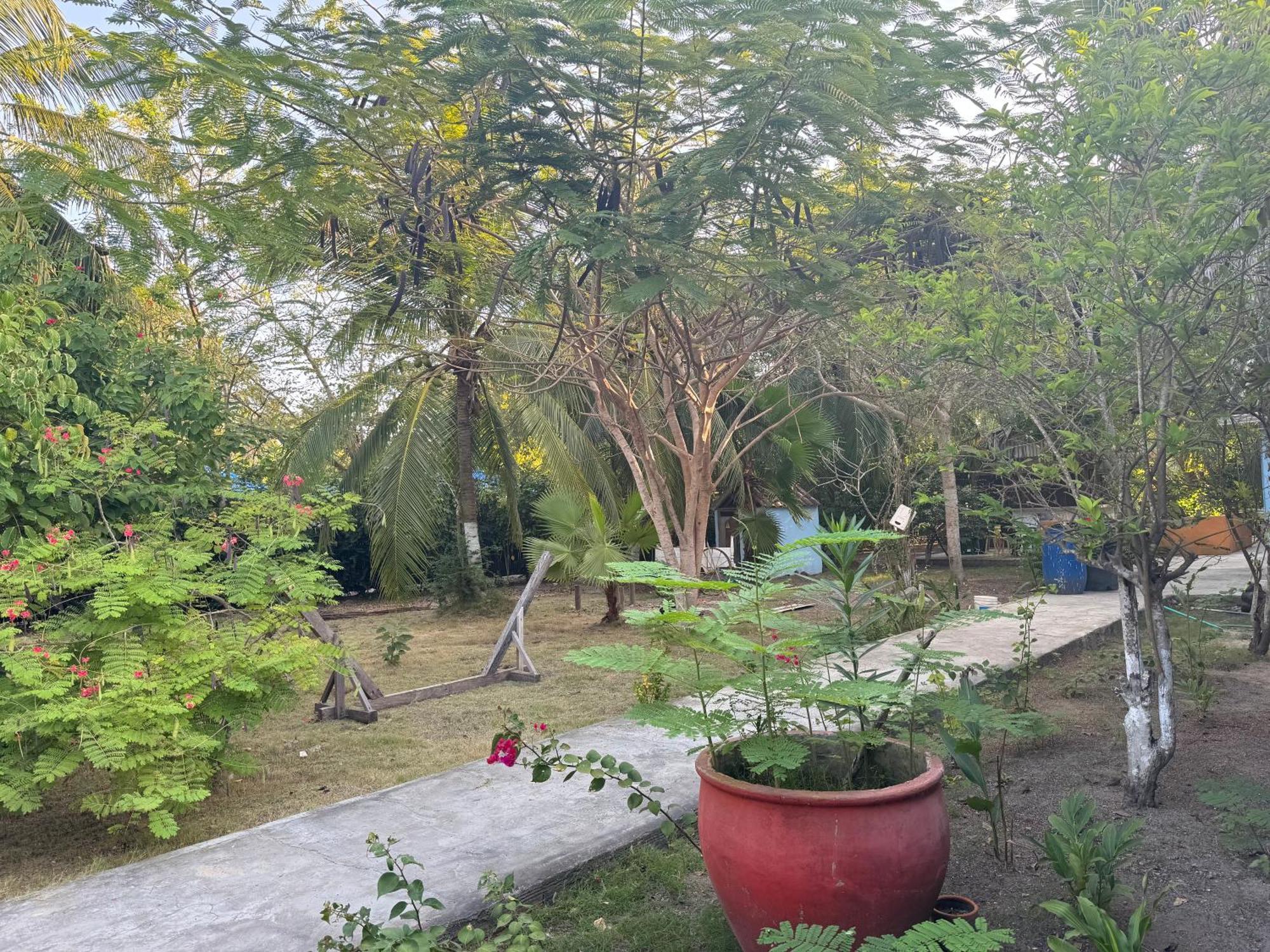 Casa Lolas House By Ctglifetravelers Isla Grande  Exterior photo